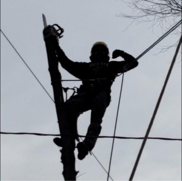 Meet your Posher, Riley - Picture 1 of 1